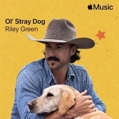 Ol' Stray Dog - Single