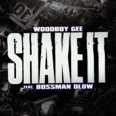 Shake It (feat. Bossman Dlow) - Single
