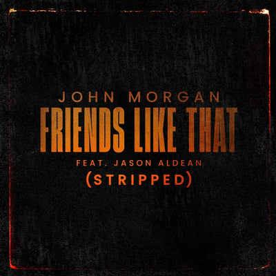 Friends Like That (feat. Jason Aldean) [Stripped] - Single
