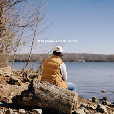 Didn't Wanna Settle Down - Single