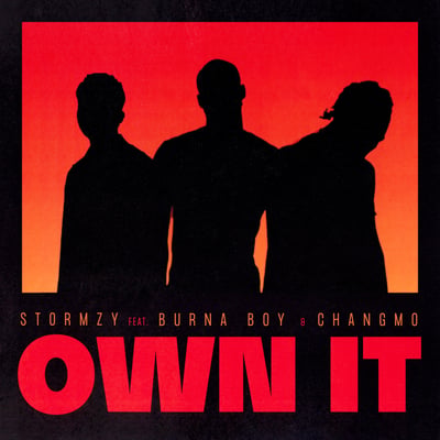 Own It (feat. Burna Boy & CHANGMO) - Single