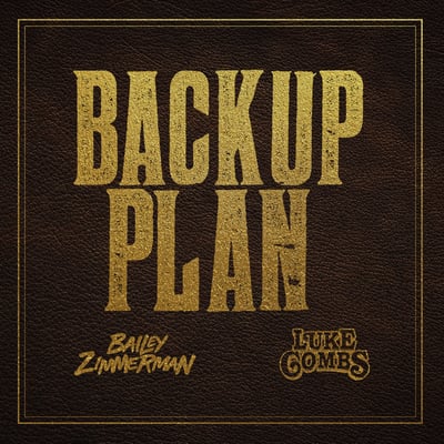Backup Plan - Single