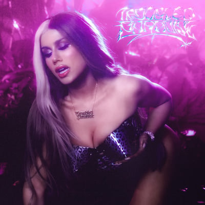 Troubled Paradise - Single