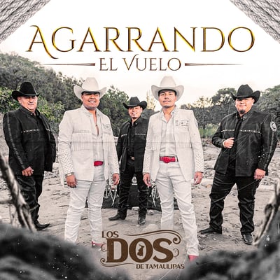 Agarrando El Vuelo - Single