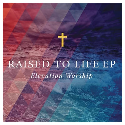 Raised to Life - Single