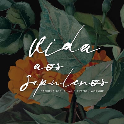 Vida aos Sepulcros (feat. Elevation Worship) - Single