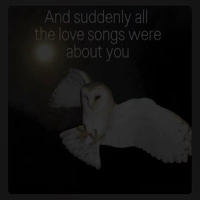in the end will you remember me - Single