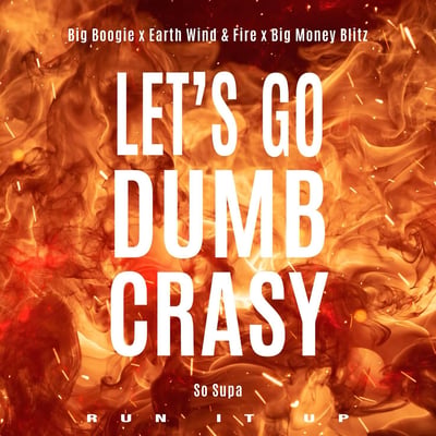 Let's Go Dumb Crasy - Single