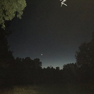 Spider Feet (feat. Yung Lean) - Single