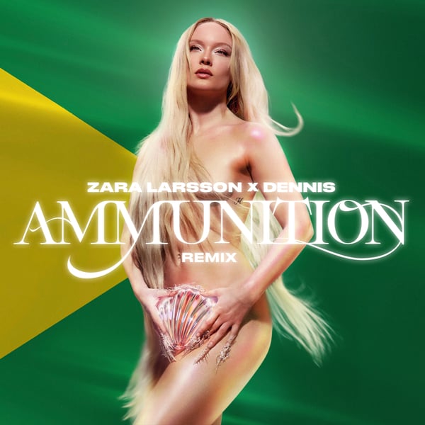 Ammunition (DENNIS Remix) - Single