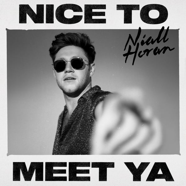 Nice to Meet Ya - Single