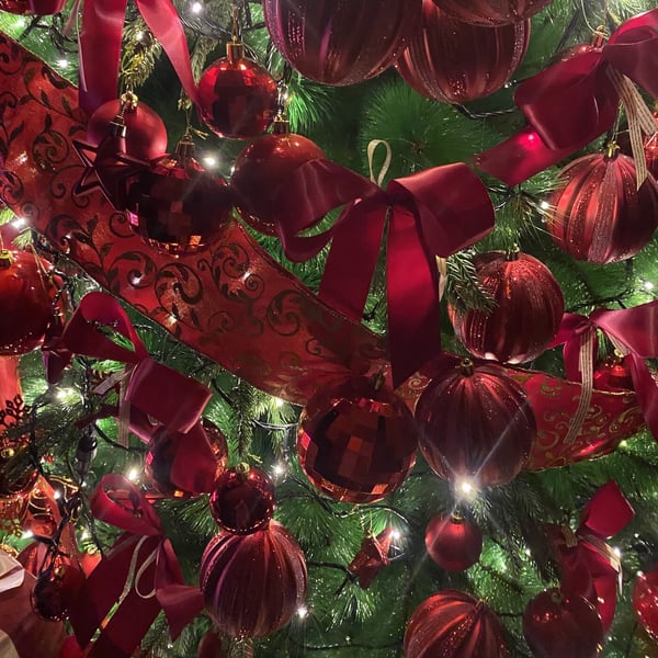 A song when it's cold - Single