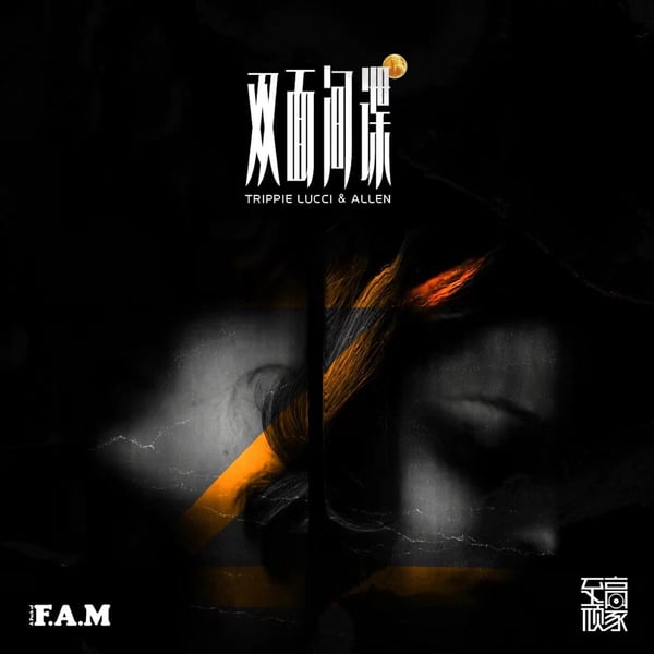 双面间谍 - Single