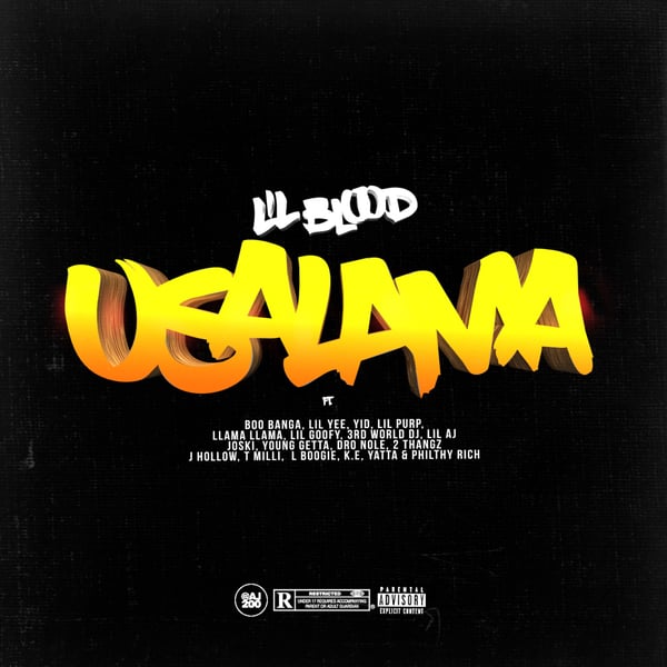 Usalama (feat. Boo Banga, Lil Yee, Yid, Lil Purp, Llama Llama, Lil Goofy, 3rd World Dj, Lil AJ, Joski, Young Getta, Dro Nole, 2 Thangz, J Hollow, T Milli, L. Boogie, K.E., Yatta & Philthy Rich) - Single