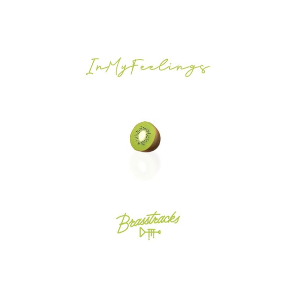 In My Feelings - Single
