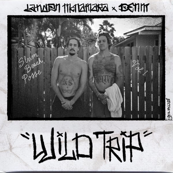 Wild Trip - Single