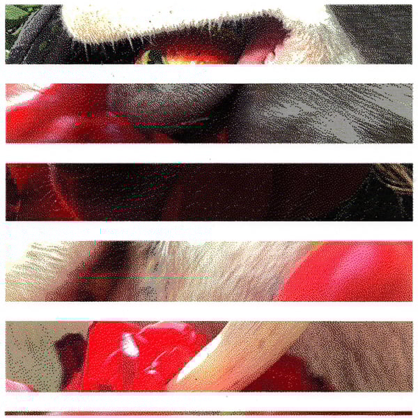 A baby girl named Heaven - Single