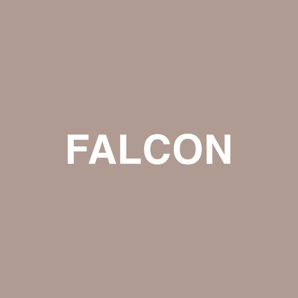 Falcon (feat. Raury) - Single