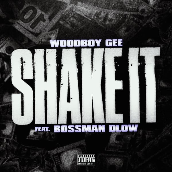 Shake It (feat. BossMan Dlow) - Single