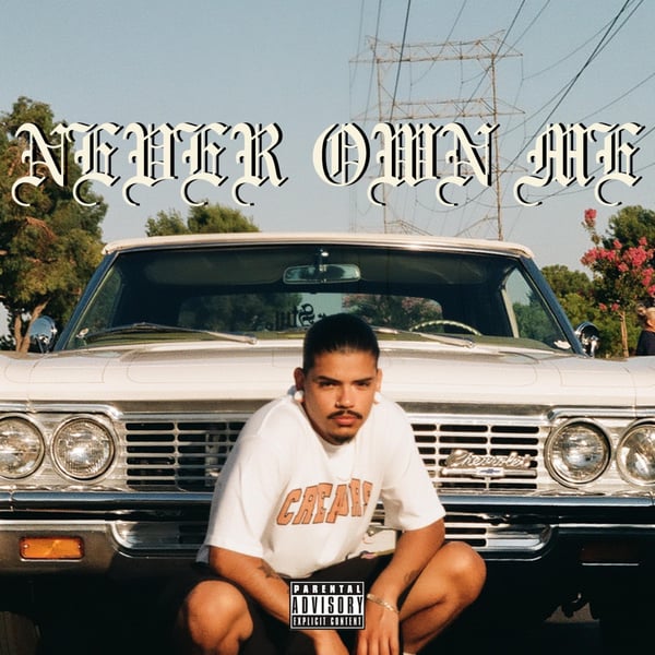 NEVER OWN ME - Single (feat. Andre Troutman) - Single