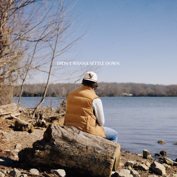 Didn't Wanna Settle Down - EP