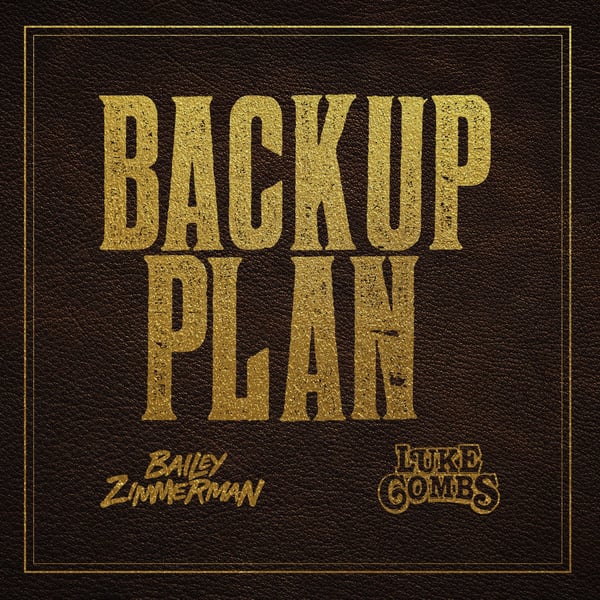 Backup Plan - Single