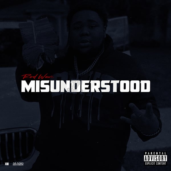 Misunderstood - Single