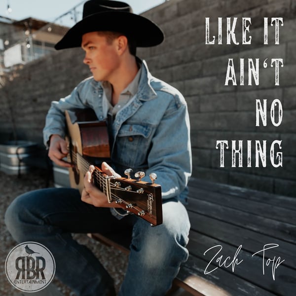 Like It Ain't No Thing - Single