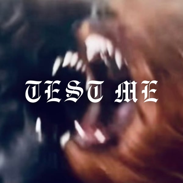 Test Me - Single