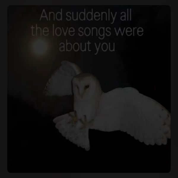 in the end will you remember me - Single
