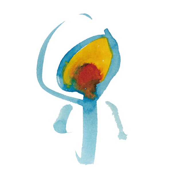 Nujabes